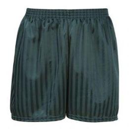 Bottle Shadow Stripe Shorts