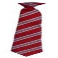 Wrenn Lower School Tie Clip on 16"