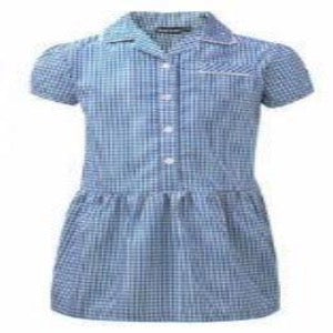 Blue Gingham Dress Button Front
