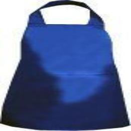 Wrenn Food Technology Apron with logo