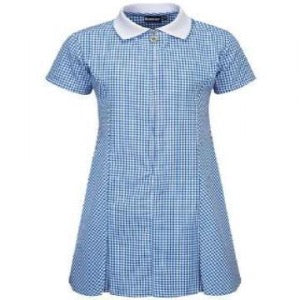 Blue Zip Gingham Dress No Logo