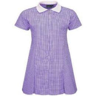 Purple Gingham Zip Summer Dress