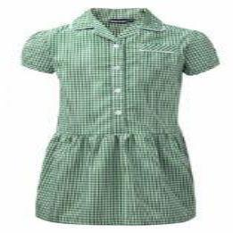Green Gingham Dress Button Front