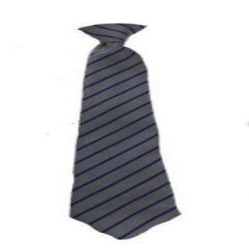 Chelveston Road Academy Tie