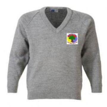 Denfield Park Primary Knitted V Neck Jumper