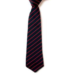 Wrenn Upper School Tie