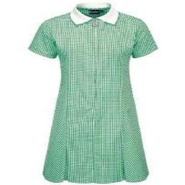 Green Plain Gingham Zip Summer Dress