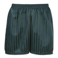 Bottle Shadow Stripe Shorts