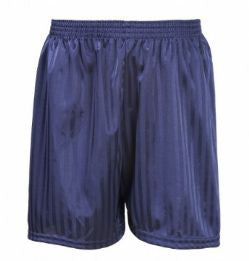 Freeman's Navy Shadow Stripe Shorts