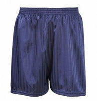 Navy Shadow Stripe Shorts