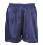 Navy Shadow Stripe Shorts