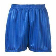 Stanton Cross Primary Royal PE Shorts Plain