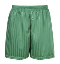 Emerald Shadow Stripe Shorts