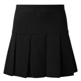 Wrenn Innovation Pleated Skirt